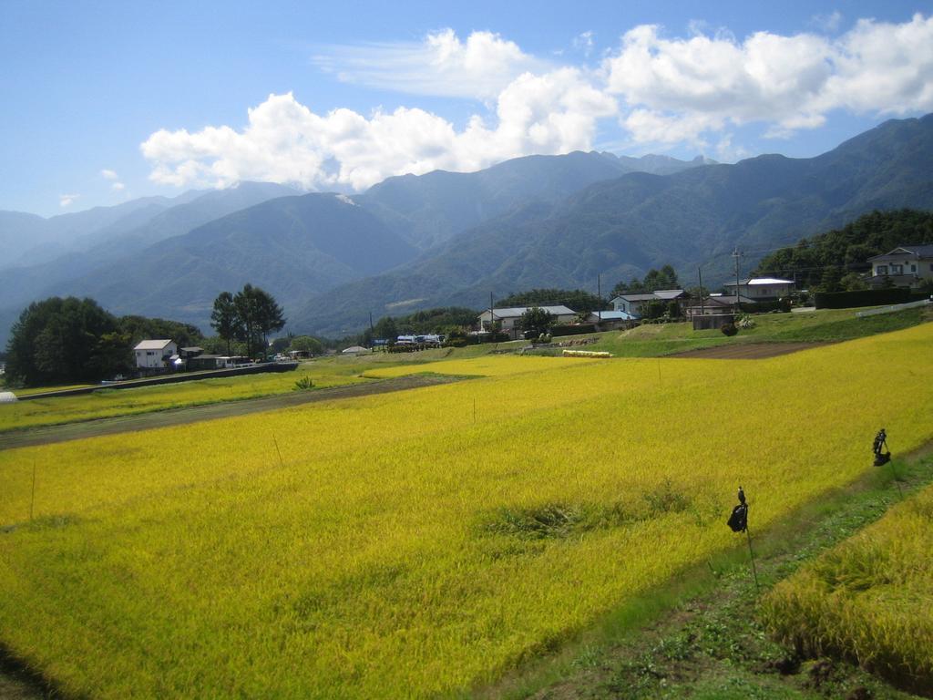 菲尔德住宿加早餐旅馆 北斗 外观 照片
